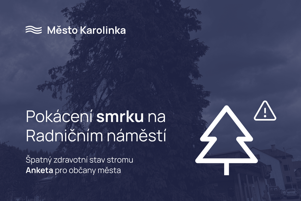 Výzva občanům k účasti v anketě týkající se smrku na Radničním náměstí