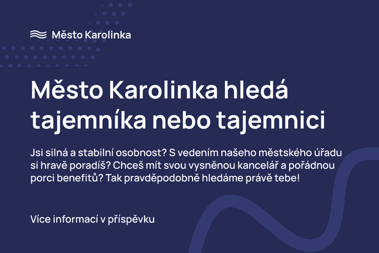 HLEDÁ SE TAJEMNÍK/TAJEMNICE