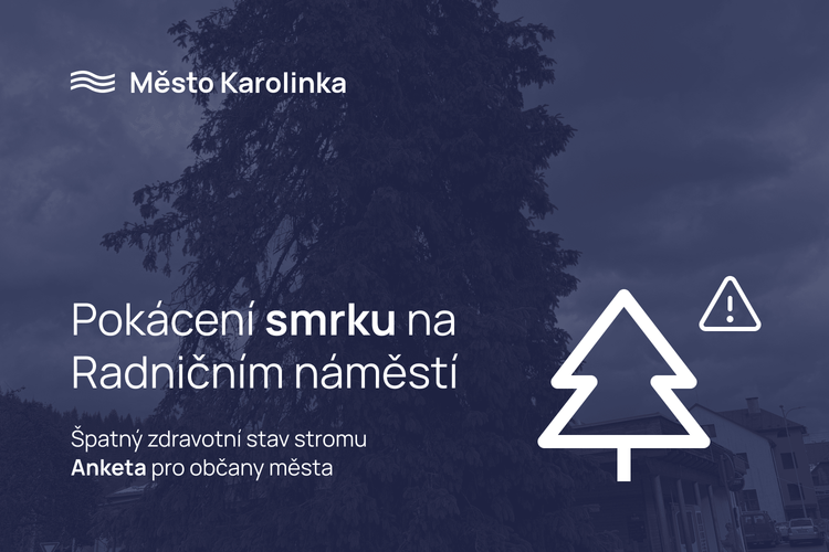 Výzva občanům k účasti v anketě týkající se smrku na Radničním náměstí