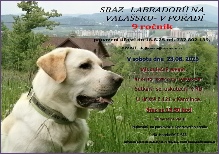 9. ročník -  Setkání labradorů na Valašsku 