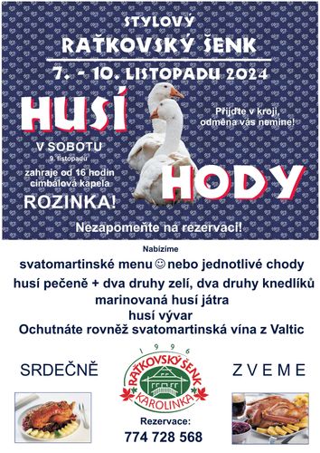 Husí hody