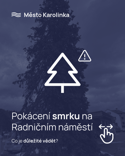 Výzva občanům k účasti v anketě týkající se smrku na Radničním náměstí
