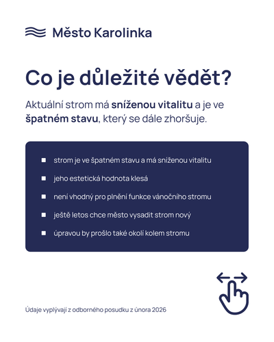 Výzva občanům k účasti v anketě týkající se smrku na Radničním náměstí