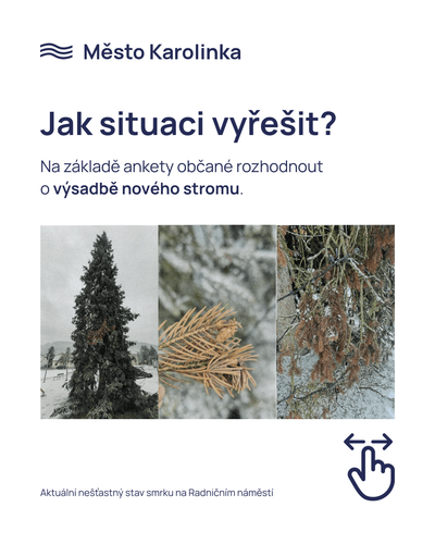 Výzva občanům k účasti v anketě týkající se smrku na Radničním náměstí