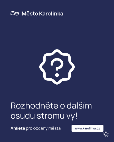 Výzva občanům k účasti v anketě týkající se smrku na Radničním náměstí