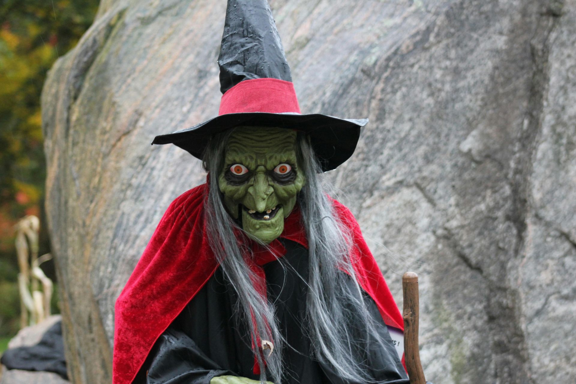 PÁLENÍ ČARODĚJNIC